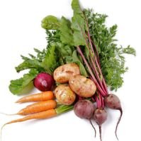 Root vegetables